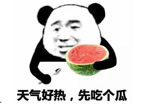 吃瓜表情表示什么,揭秘网络社交中的趣味与内涵